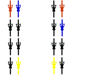 double paceline rotation